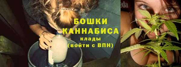 ешки Надым