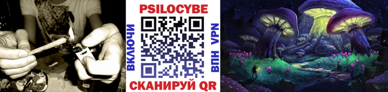 Галлюциногенные грибы GOLDEN TEACHER Липецк